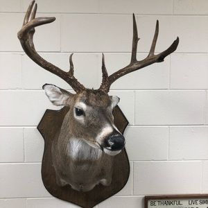 Meet your Posher, Ed